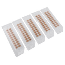 100pcs Ear Acupressure Stones Bian Stone Patch
