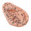 Ear Acupuncture Model PVC Massage Acupoint 13cm 2