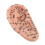 Ear Acupuncture Model PVC Massage Acupoint 13cm 4
