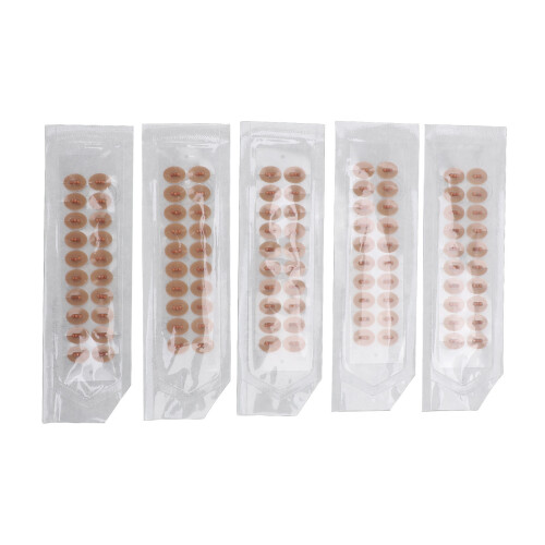 100pcs Ear Acupressure Stones Bian Stone Patch 2