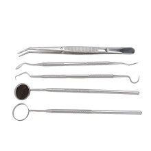 5x Stainless Steel Oral Care Pick Calculus Remover