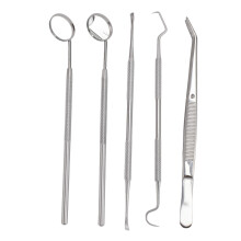 5x Oral Facial Tool Set Stainless Steel Dental Pick Home Use