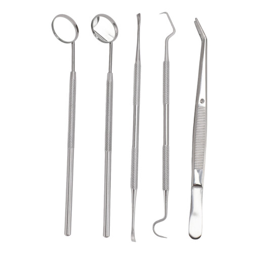 5pc Stainless Steel Oral Care Tool Set for Home Use