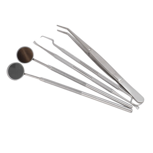 5pc Stainless Steel Oral Care Tool Set for Home Use 2