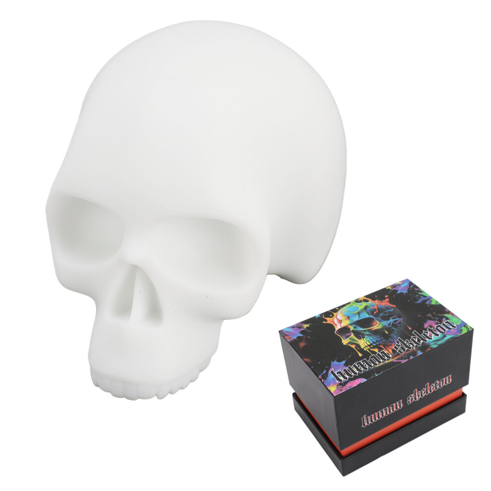Silicone Realistic Skull Tattoo Model for Art Design