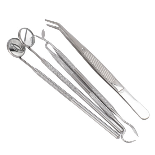 Set 5 Strumenti Acciaio Inox per Rimuovere Calcolo 1