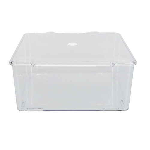 (Transparent) Cosmetic Organizer Box Hinged Dust Proof Large Clear Case