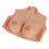 (E Cup) Seno Protesico Donna Silicone Seta Realistico Coppa G Bronzo 5