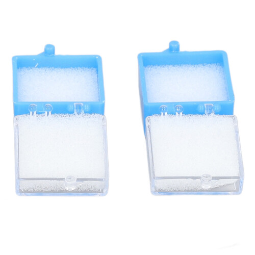 20 Pcs Foam Dental Crown Storage Boxes for Lab Clinic 1