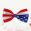 Slipsdocka Herrar Kostym Usa Flag Slipsknot Patriotisk Halsduk 6