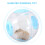transparant loopwiel speelgoed hamster activiteit en beweging 7