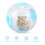 transparant loopwiel speelgoed hamster activiteit en beweging 10