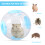 transparant loopwiel speelgoed hamster activiteit en beweging 9