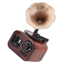 Creatieve Fonograafvorm Muziekdoos Sieradegeschenk Verjaardagscadeau