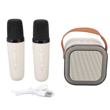 Tragbare Karaoke-Maschine Bluetooth-Lautsprecher 2 Mikrofone Aprikose