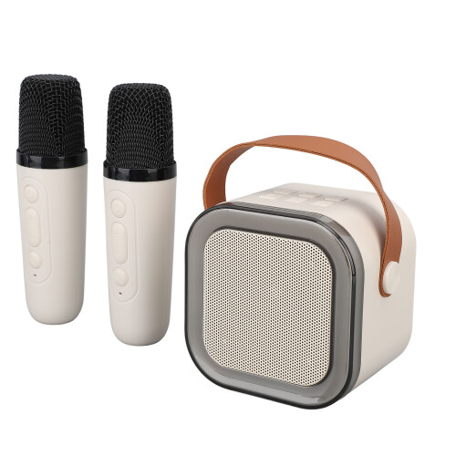 Draagbare Karaoke Machine Bluetooth 2 Mic 2