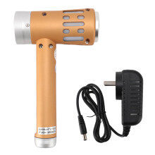 (AU Plug) 2 in 1 Infrared Light Wand 650nm Red LED 5 Levels 3 Ultrasound Gold