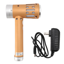 (US Plug) 2 in 1 Infrared Light Wand 650nm Red LED 5 Levels 3 Ultrasound Gold