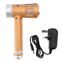 (GB Plug) 2 in 1 Infrared Light Wand 650nm Red LED 5 Levels 3 Ultrasound Gold