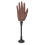(Right Hand) Mano pratica unghie silicone con base ventosa 2