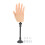 (Right Hand) Nail-Trainingshand Silikon mit Saugfuß Rechts 1