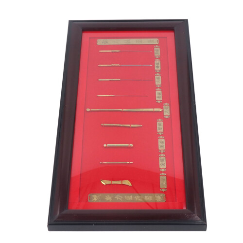 9-Needle Acupuncture Model Display 2