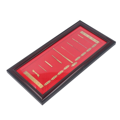 9-Needle Acupuncture Model Display 1