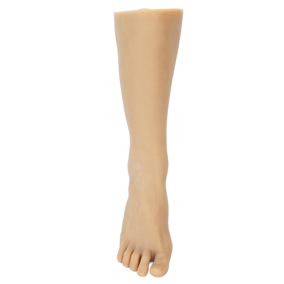 (Right Foot) Men Foot Model Dustproof Soft TPE Acupuncture Tattoo Practice Right