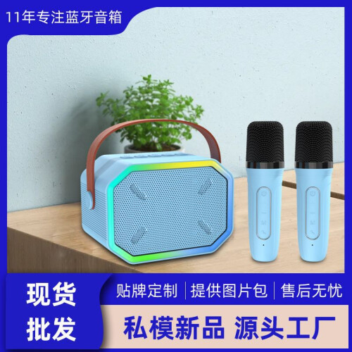 P3 Bluetooth Speaker Wireless Karaoke Mic Portable Pink