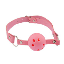 BDSM Bondage Set Cat Ear Neck Collar Gag Nipple Clamp Anal Plug