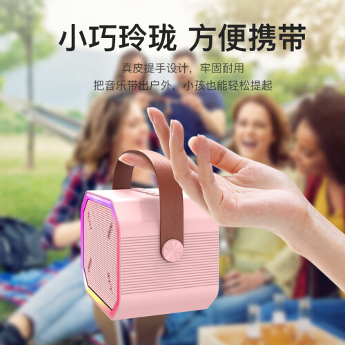 P3 Bluetooth Speaker Wireless Karaoke Mic Portable Pink 2