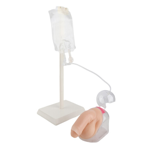 Male Urethral Catheterization Simulator Fluid Model 1