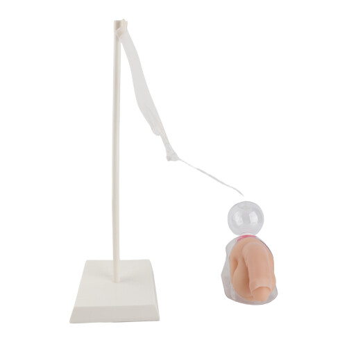 Male Urethral Catheterization Simulator Fluid Model 2