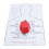 Hands Only CPR Training Tool for Nursing Students 3