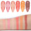 Julystar 6-Farb-Matte-Rouge-Palette Kontur 3