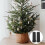 10Pcs Sturdy Black Plastic Xmas Tree Stand for Small Artificial Trees 6