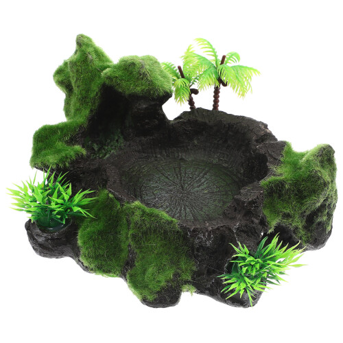 Reptilskål Av Harpiks För Terrarium