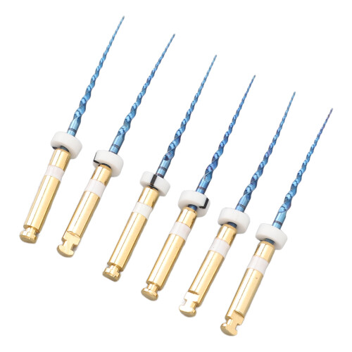 (0.8in) 6x S2 Endo Files Groot Tapered Metaal 1in 2