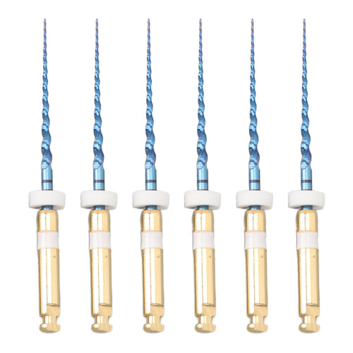 (0.8in) 6x S2 Endo Files Groot Tapered Metaal 1in 1