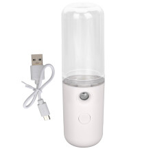 (White) Gesichts-Nanobefeuchter Tragbar USB-Aufladung Feuchtigkeitspflege