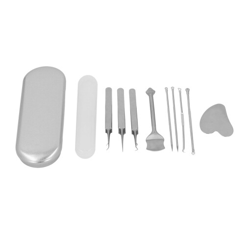 Blackhead Remover Kit Rvs Needles