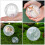 2St Transparent Hamsterträningsskiva För Dvärghamsterar 4