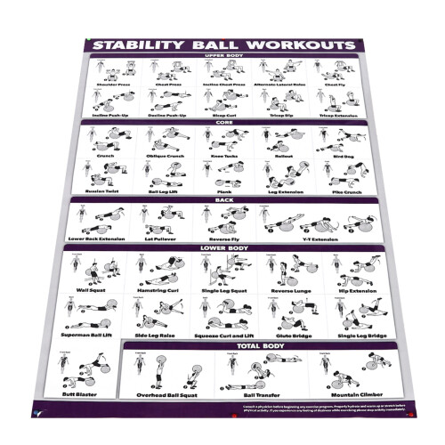 Yogaball-Poster: Ganzkörper-Training 2