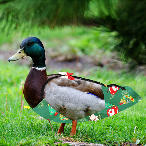 Couches de poulet réglables Costume de vacances de-Vert Noël M 2
