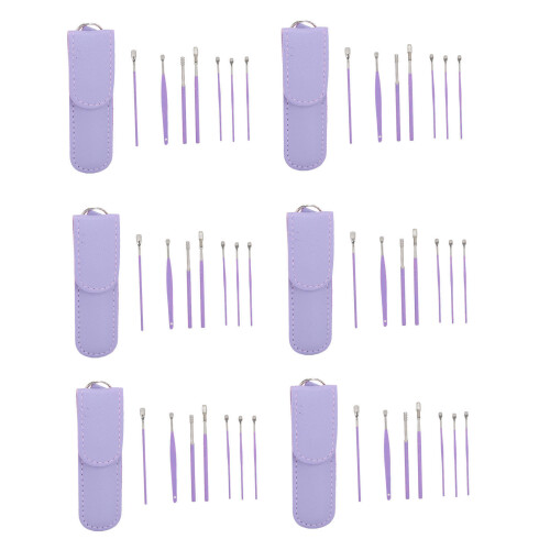 6x Stainless Steel Ear Picks w/ Leather Case