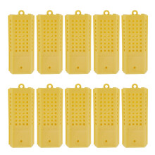 10Pcs Biotverktyg Drottningbiodos Bihövdkät
