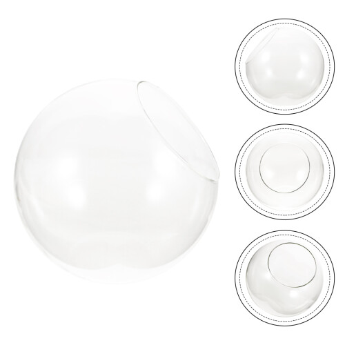 Glass Terrarium För Och Luftväxter 2