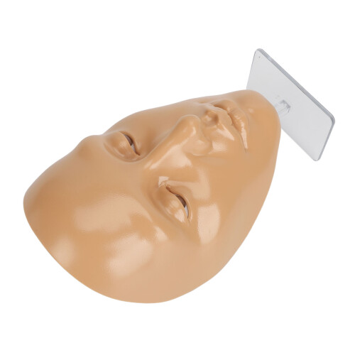 (Wheatish) 5D Silicone Make-up Oefenbord Ogen Beginner + 20ml Oil 1