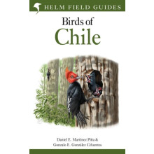 Field Guide to the Birds of Chile by Gonzalo E. Gonzalez Cifuentes Pap