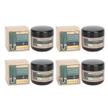 4x Ingwer-Haarcreme 30g gegen Haarausfall & Wachstum